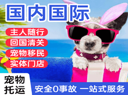 阿拉善左旗巴彦浩特航空物流国际宠物托运 【国